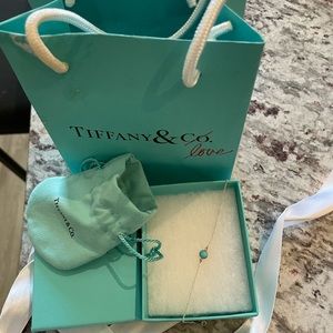 Elsa Peretti Tiffany Color by the Yard Turquoise Bracelet
in Silver